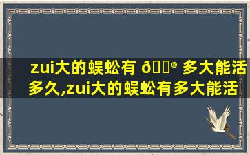 zui
大的蜈蚣有 💮 多大能活多久,zui
大的蜈蚣有多大能活多久 🦟 啊